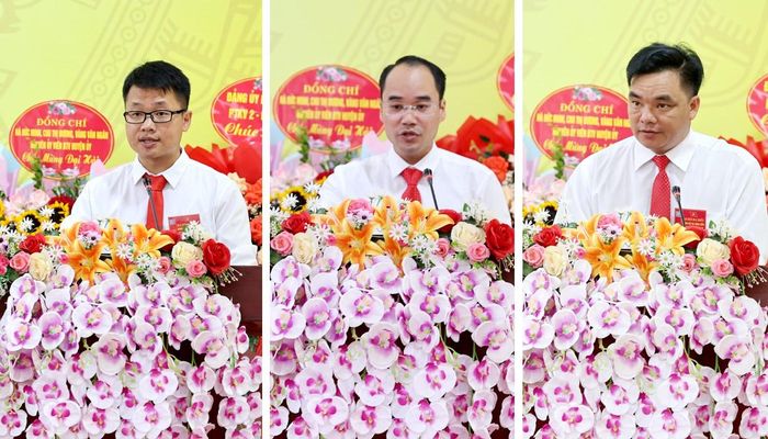  Đại biểu tham luận tại đại hội. 