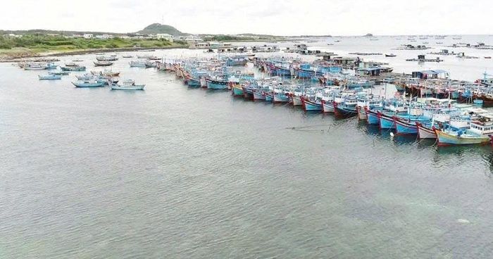Phú Quý có hơn 1.700 tàu cá, ngành kinh tế biển được xác định là ngành mủi nhọn của địa phương. Việc công trình được hoàn thành sẽ giúp địa phương có cơ hội vươn xa hơn