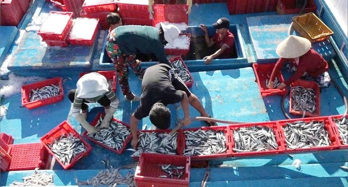 Sau những chuyến ra khơi của ngư dân