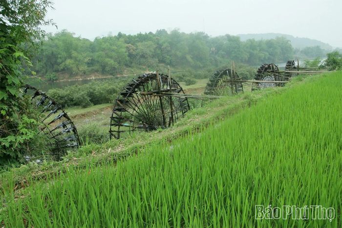 Thời gian qua, cộng đồng các dân tộc trong tỉnh đã phát huy tốt các giá trị văn hóa gắn với phát triển kinh tế xã hội của địa phương.