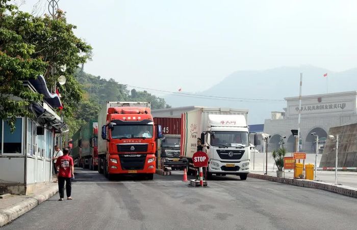 Lạng Sơn tiếp giáp với Trung Quốc - nơi dịch Chikungunya đang diễn biến phức tạp nên tỉnh đã tăng cường phòng, chống dịch ngay từ cửa khẩu để ngăn ngừa dịch bệnh xâm nhập vào địa bàn. Ảnh: Văn Đạt - TTXVN