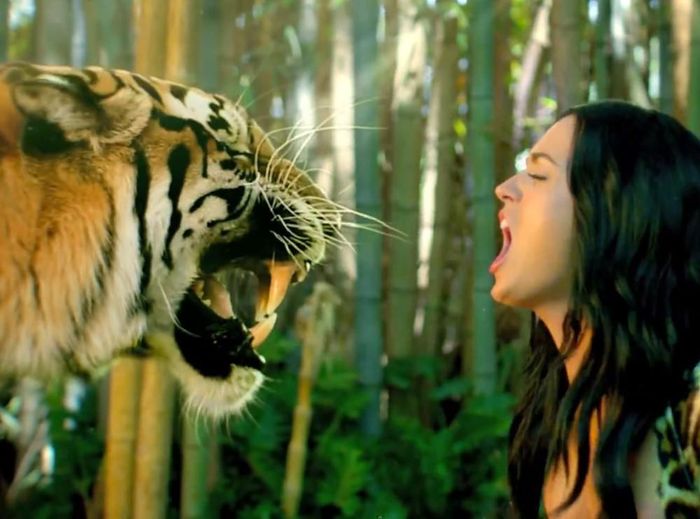 Katy Perry hóa nữ chúa rừng xanh trong MV “Roar"