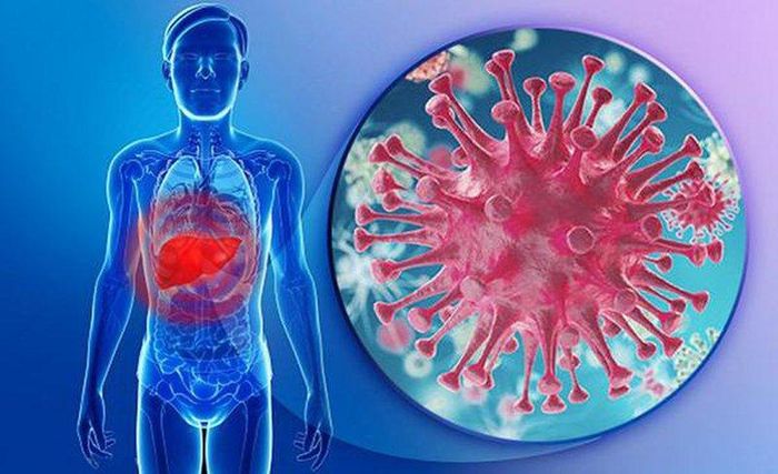 Viêm gan B là một trong những bệnh lý nguy hiểm liên quan đến gan do virus HBV gây ra.