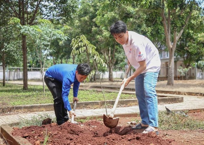 Các ĐVTN tham gia trồng cây