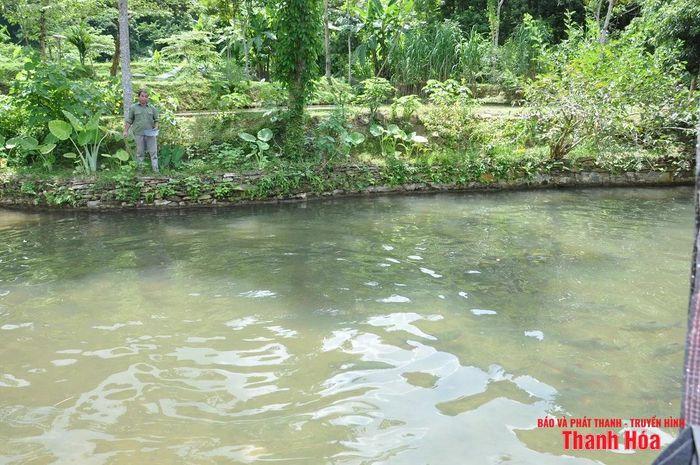Ao cá đầu tiên mà ông Khường tự tay đào, nay có 260 con cá Dầm xanh sinh sản.