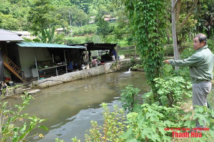 Hơn 3 thập kỷ qua, gia đình ông Khường đã từng bước đầu tư, hoàn thiện hạ tầng và cơ sở vật chất phục vụ nuôi cá Dầm xanh.