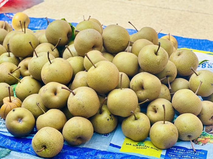 Một loại quả được bày bán ở chợ phiên Cao Bằng vào lúc cuối hè đầu thu là mác cọt. Mác cọt mọc ở nhiều nơi trong tỉnh nhưng ngon nhất và trồng nhiều nhất là ở vùng Nguyên Bình và Bảo Lạc. Quả mác cọt có loại bé như quả bóng bàn nhưng có quả to như quả lê Đông Khê. Giá trung bình từ 20 - 30 nghìn đồng/kg.