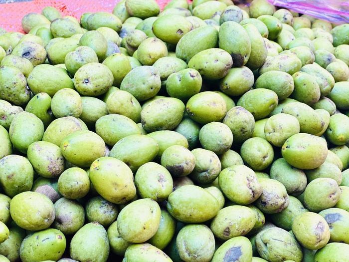 Từ tháng 6 - 8 âm lịch là mùa thu hoạch trám xanh. Trám xanh thường có trong bữa ăn của bà con các dân tộc ở Cao Bằng, những món ăn chế biến từ quả trám rất phong phú, mùi vị thơm ngon.