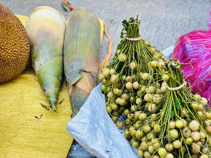 Cây mác mật ở nhiều vùng miền núi phía bắc đều trồng nhưng riêng Cao Bằng có cho ra quả từ tháng 6 đến tháng 8 hằng năm. Lá, quả được dùng làm gia vị tạo độ chua ngọt tự nhiên rất riêng biệt. Dân gian còn dùng quả mác mật khô để chữa ho, hỗ trợ tiêu hóa và làm thuốc an thần nhẹ.