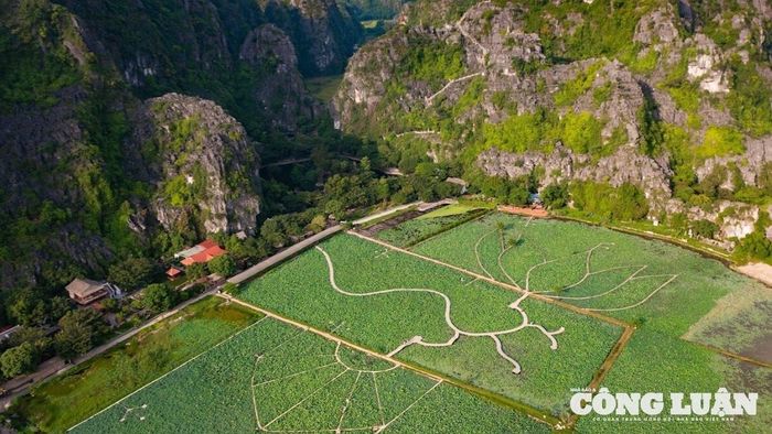 Hang Múa: Với 486 bậc thang đá dẫn lên đỉnh núi Ngọa Long, Hang Múa là điểm đến lý tưởng cho những ai yêu thích chinh phục và ngắm nhìn toàn cảnh Tam Cốc từ trên cao. Từ đỉnh núi, du khách sẽ choáng ngợp trước vẻ đẹp hùng vĩ của đồng lúa, sông nước và núi non trùng điệp. Nơi đây cũng là điểm check-in nổi tiếng, được ví như “Vạn Lý Trường Thành của Việt Nam”.