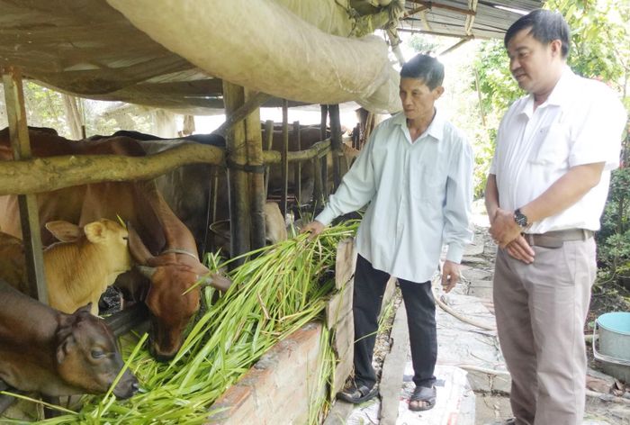  Người dân chăn nuôi, thu nhập bình quân đầu người 70 triệu đồng/năm, tỷ lệ hộ nghèo giảm còn 0,62%. Ảnh: BÍCH THÙY