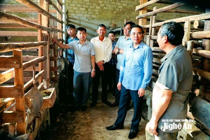 Đồng chí Lê Văn Ngọc - Bí thư Đảng ủy xã Tân Kỳ cùng các đồng chí trong Đảng ủy xã tham quan mô hình nuôi hươu tại địa phương. Ảnh: Phương Thảo