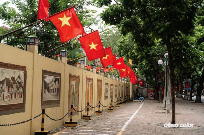Cờ đỏ, sao vàng bay phấp phới dọc tuyến đường Trần Phú.