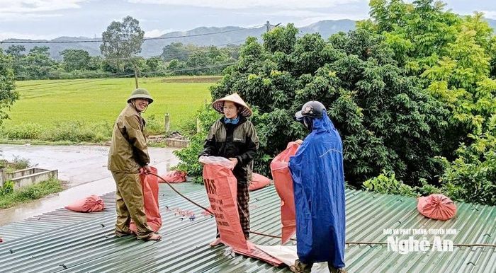 Người dân xã Lam Thành đặt bao cát lên mái tôn. Ảnh: Công Kiên