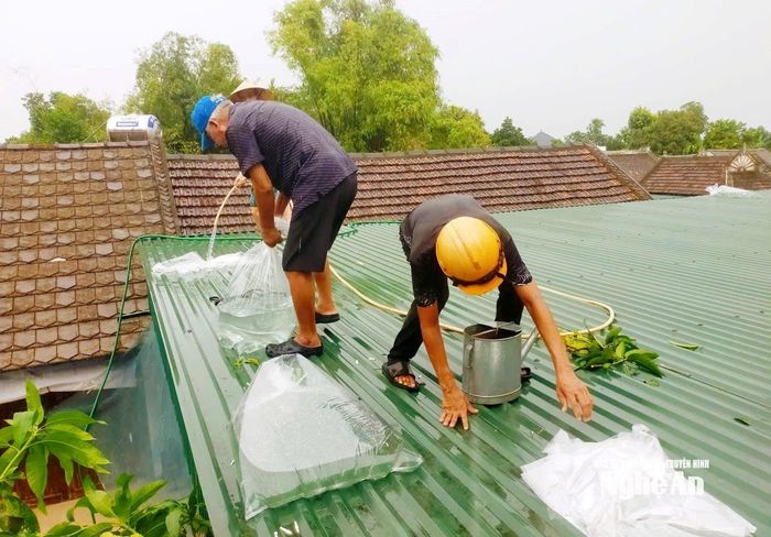 Người dân xã Thiên Nhẫn đặt bao nước lên mái tôn phòng chống bão. Ảnh: CSCC