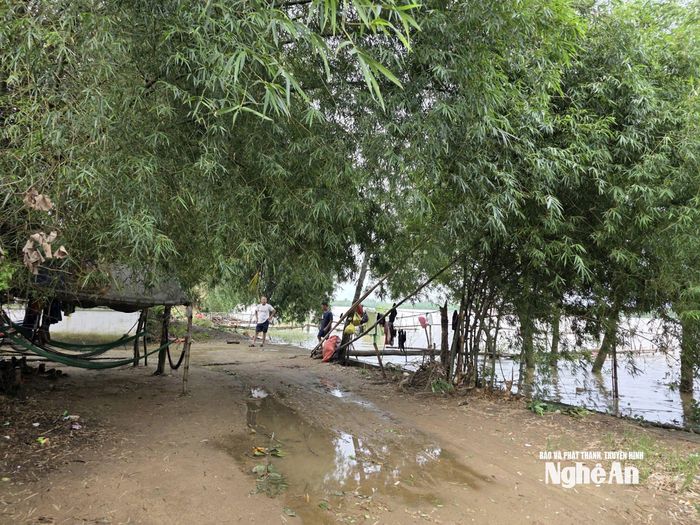 Cụm dân cư Hòa Lam hầu hết có nhà sát mép sông Lam. Chiều 24/8, mực nước sông đã mấp mé mặt đường nội xóm. Ảnh: Hoài Thu