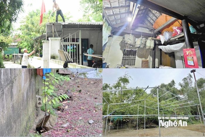 Người dân xóm Hòa Lam chủ động gia cố, chằng chống mái nhà, tháo dỡ những vật dụng dễ bị gió tốc; dọn và treo đồ đạc, vật dụng gác lên vị trí cao. Ảnh: Hoài Thu