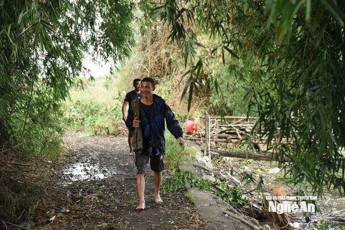 Bí thư Chi bộ khối Thuận Hòa - chị Hoàng Thị Tuyết cho biết, cụm dân cư Hòa Lam trước đây là xóm Hòa Lam thuộc xã Hưng Hòa (cũ). Sau khi sáp nhập đơn vị hành chính cấp xã, xóm Hòa Lam trở thành một cụm dân cư của khối Thuận Hòa, phường Trường Vinh. Cụm dân cư này có hơn 60 hộ sống bằng nghề chài lưới, đánh cá ven sông Lam đã nhiều đời nay. Thực hiện chỉ đạo của cấp trên về phòng, chống bão số 5, hiện nay, chính quyền đang ưu tiên di dời người già, trẻ em đến trạm y tế phường. Lực lượng thanh niên ở lại, cơ động để cùng với địa phương phòng, chống bão, chằng chống nhà cửa. Tùy tình huống cụ thể có thể sẽ di dời sau. Ảnh: Hoài Thu