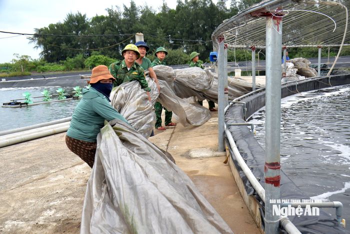Cán bộ, chiến sĩ Tổ công tác Biên phòng Diễn Trung giúp đỡ gia đình ông Nguyễn Cường tháo dỡ mái che nhà lưới nuôi tôm. Ảnh: Xuân Hoàng