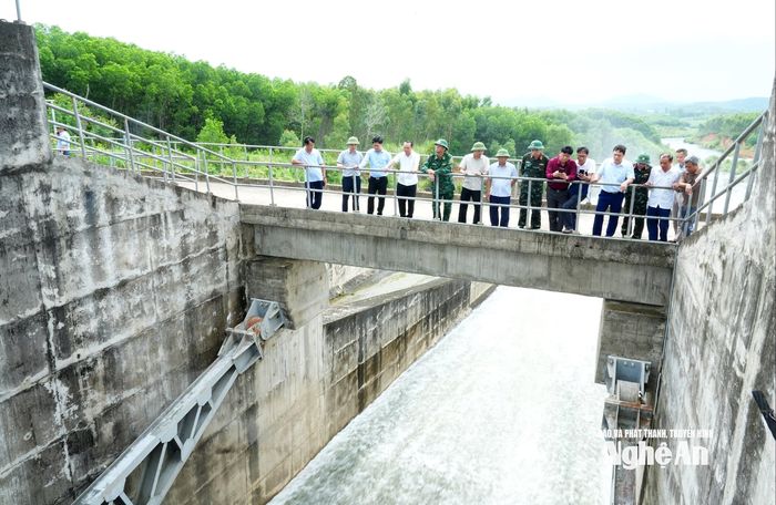 Đoàn công tác của tỉnh kiểm tra tại hồ Vực Mấu. Ảnh: Thành Chung