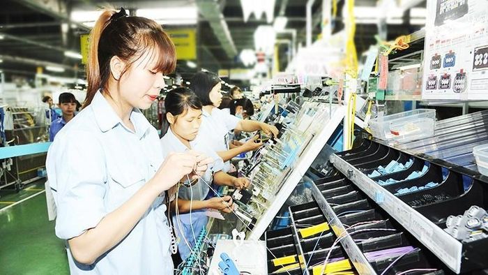 Công ty TNHH Hệ thống dây dẫn Sumi Việt Nam (SVWS), doanh nghiệp 100% vốn đầu tư của Nhật Bản tại KCN Đồng Văn II (Ninh Bình). (Ảnh: TRẦN HẢI)
