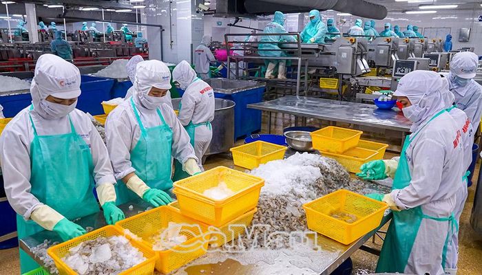 Kim ngạch xuất khẩu thủy sản hằng năm đạt trên 2 tỷ USD.