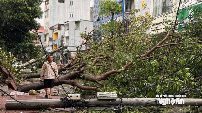 Hàng trăm cây xanh bị bật gốc, cột điện gãy đổ, tỉnh Nghệ An mất điện trên diện rộng.