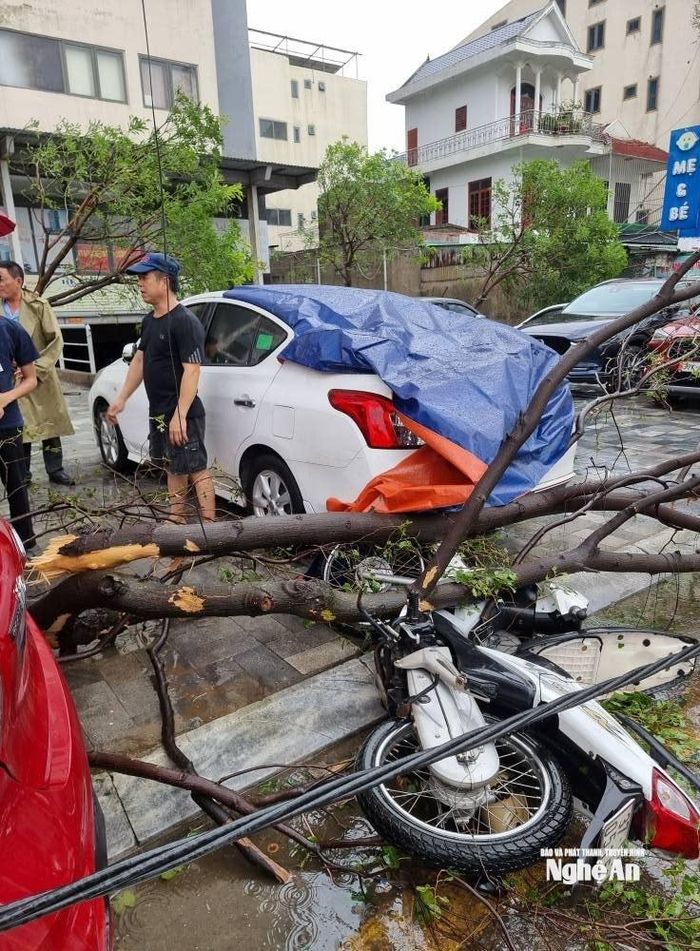 Do ảnh hưởng của cơn bão số 5 (bão Kajiki), nhiều địa phương trên địa bàn tỉnh Nghệ An ghi nhận mưa to, gió lớn khiến hàng trăm cây xanh bị quật ngã, trong đó nhiều cây có tuổi đời lâu năm gây ách tắc giao thông nghiêm trọng tại một số tuyến đường trọng điểm.