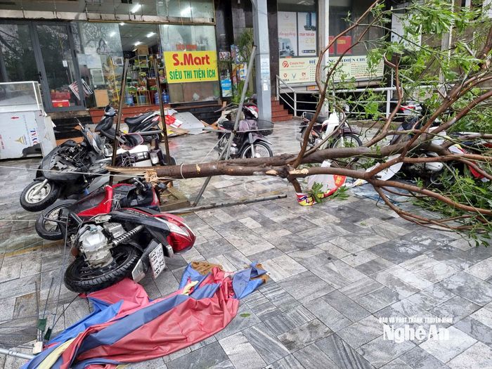 Đến thời điểm này, thống kê sơ bộ đến 5h30 sáng 26/8, tỉnh Nghệ An chưa có thiệt hại về người do ảnh hưởng của bão, chỉ có 1 trường hợp bị điện giật chết vào ngày 24/8 khi lên sửa mái nhà để chống bão, 2 người bị thương, 91 nhà bị hư hỏng, rất nhiều nhà bị tốc mái, 9 phòng học của 2 điểm trường bị tốc mái, 1 cơ sở y tế bị tốc mái.
