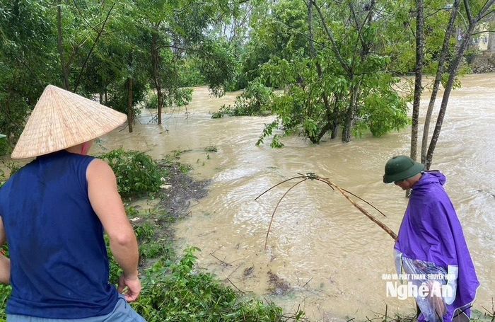 Tại khu vực sông Dinh nước xoáy cuộn xiết nhưng người dân xã Yên Thành vẫn thả vó để bắt cá. Ảnh: Văn Trường