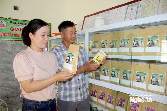 Nghệ An hiện có trên 700 sản phẩm OCOP đạt 3 sao trở lên. Ảnh: Q.A