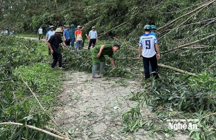 Các lực lượng thu dọn keo bị đổ gãy sà xuống đường nhằm đảm bảo an toàn giao thông. Ảnh: Văn Trường