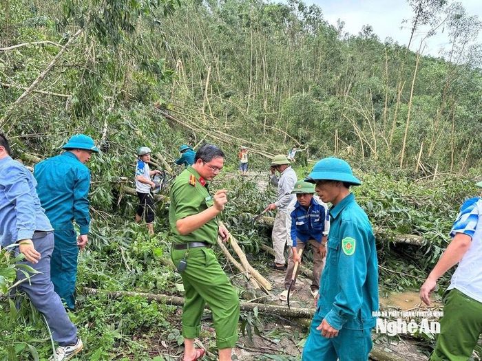 Các lực lượng công an, dân quân tự vệ giúp dân thu dọn keo đổ gãy. Ảnh: Văn Trường
