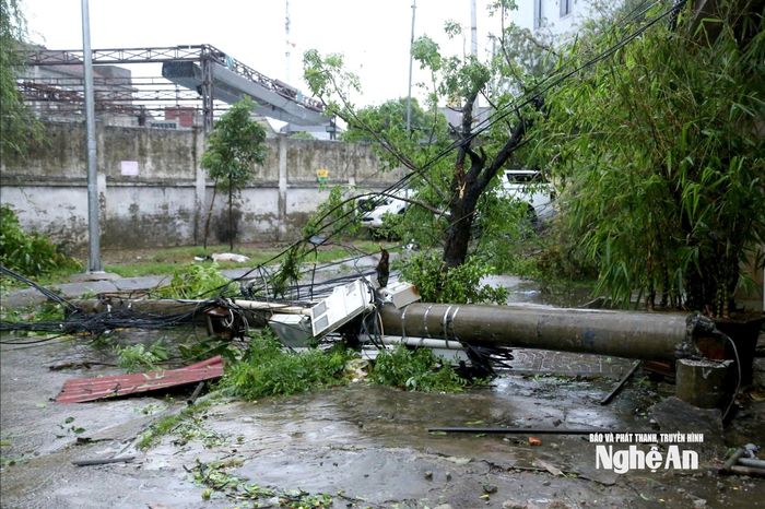 Bão số 5 gây nhiều thiệt hại trong lĩnh vực viễn thông. Ảnh: Quang An