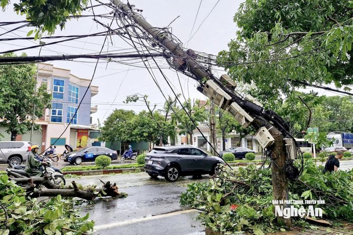 Nhiều cột điện, cột viễn thông bị gãy đổ sau bão số 5. Ảnh: Quang An