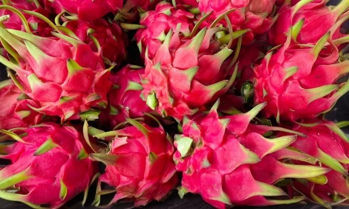 Phát triển nông sản Thanh long thành nhãn hiệu tập thể