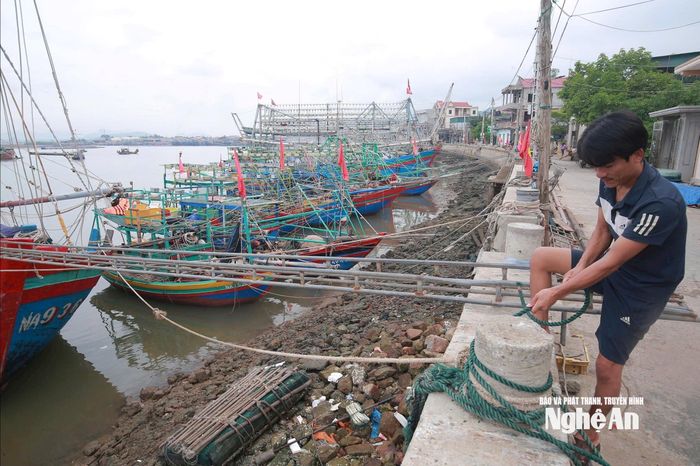 Nhiều tàu, thuyền của ngư dân phường Quỳnh Mai đã vào nơi neo đậu, tránh trú. Ảnh tư liệu: T.P