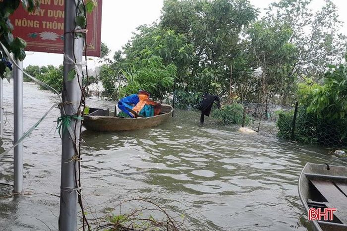  Mưa lớn kéo dài khiến nước sông La dâng nhanh. 