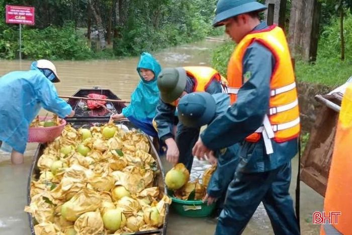  Trước tình hình mưa lớn, nguy cơ ngập lụt, xã Hà Linh đã huy động các tổ chức đoàn thể và lực lượng vũ trang giúp nông dân thu hoạch bưởi. Đến nay, các lực lượng đã hỗ trợ thu hoạch được 6 sào bưởi của hộ gia đình chị Nguyễn Thị Thúy (thôn 4). Lực lượng công an xã cũng huy động phương tiện để hỗ trợ gia đình vận chuyển, tiêu thụ bưởi. 