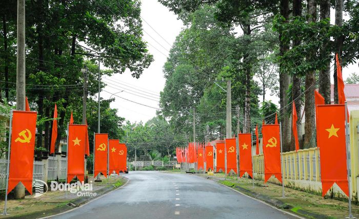 Các con đường, tuyến phố ở phường Phước Long được trang trí rực rỡ với màu cờ đỏ sao vàng. Ảnh: Ngọc Nhật