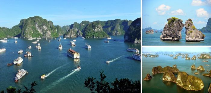 Vịnh Hạ Long luôn là điểm đến cuốn hút du khách trong và ngoài nước.