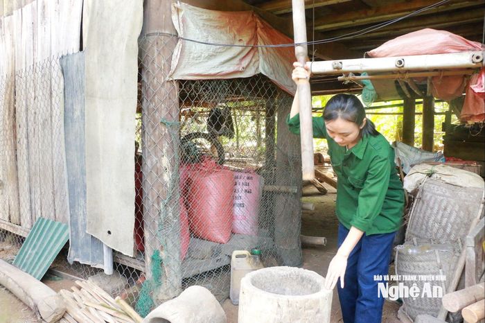 Các hình ảnh, video của Hồng Quyên đầy ắp niềm vui lao động. Ảnh: Khánh Ly