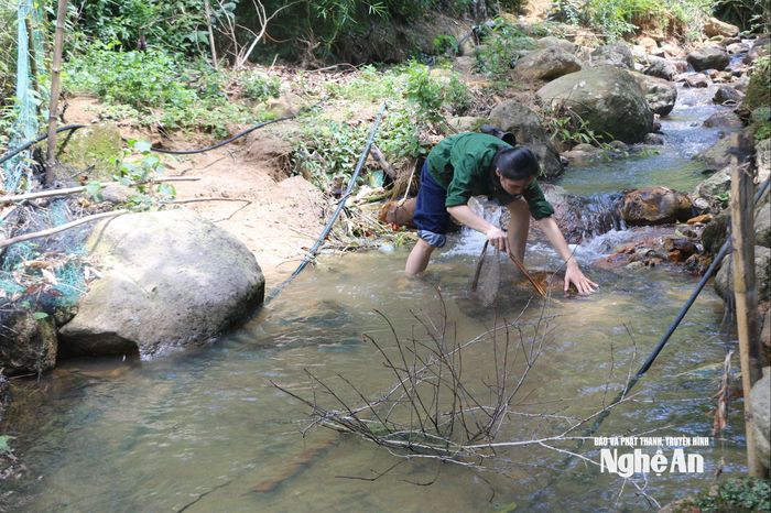 Quyên không nề hà bất cứ việc gì, vừa làm việc vừa giới thiệu về cuộc sống bản làng. Ảnh: Khánh Ly