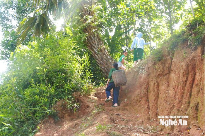 Quyên đã quen thuộc với những con đường đất quanh co dẫn lên nương rẫy, mùa mưa trơn trượt. Ảnh: Khánh Ly