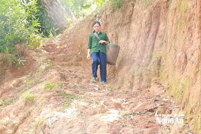 Quyên đã quen thuộc với những con đường đất quanh co dẫn lên nương rẫy, mùa mưa trơn trượt. Ảnh: Khánh Ly
