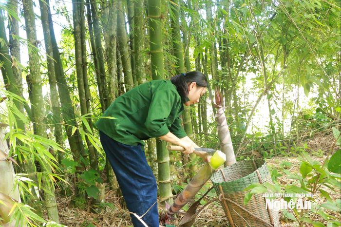 Các hình ảnh, vi deo của Quyên đầy ắp niềm vui lao động. Ảnh: Thanh Phúc