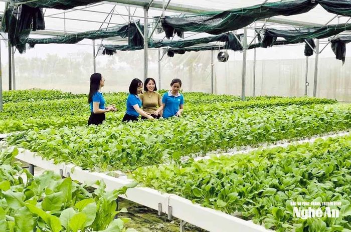Chị Dương Thị Liên (thứ 2 từ phải sang) tại mô hình nông nghiệp công nghệ cao của mình. Ảnh: Thanh Quỳnh
