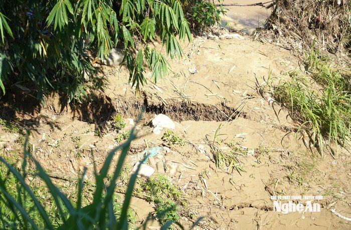 Khu vực xung quanh nhà anh Hải và trạm xăng xuất hiện nhiều vết nứt lớn. Ảnh: Thành Cường