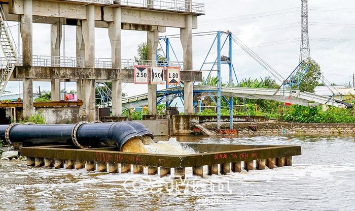 Hệ thống trạm bơm dọc tuyến Tắc Thủ - Sông Đốc đang được vận hành nhằm hạn chế ngập úng cục bộ, giảm thiểu thiệt hại và giúp thuận tiện hơn trong thu hoạch lúa hè thu.