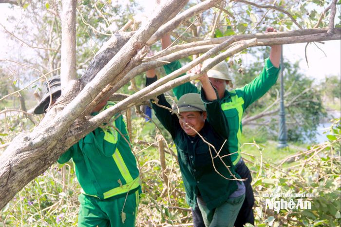 Dù công việc vất vả, tuy nhiên các công nhân vẫn quyết tâm phục hồi sớm để trả lại cảnh quan cho người dân. Ảnh: Q.A